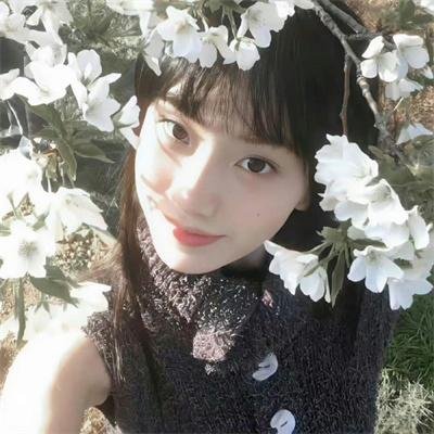 比阿特丽斯战争